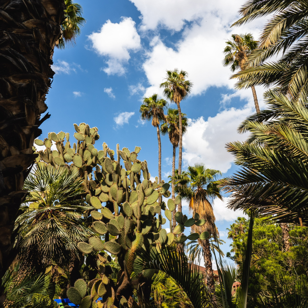 11-day Moroccan Odyssey - Stamps Tours
