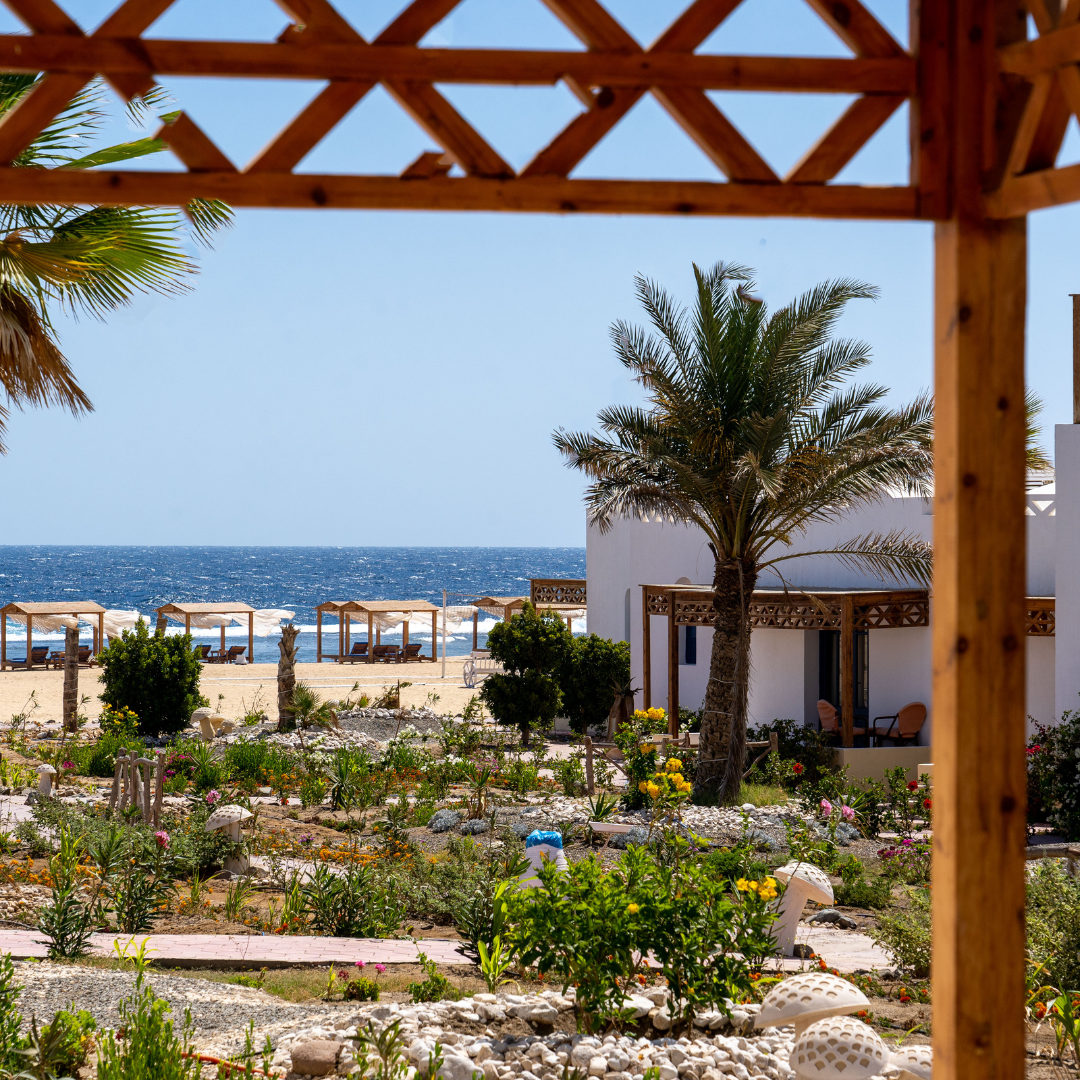 Marsa Alam: Serenity & Adventure Escape - Stamps Tours