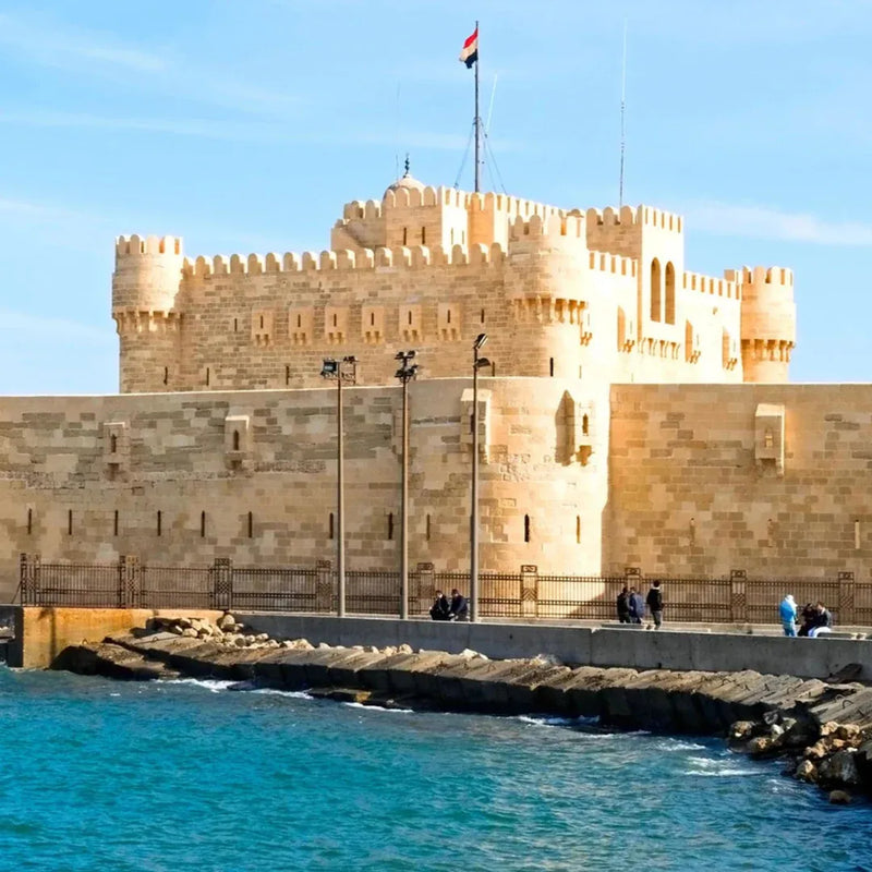 Alexandria Day Trip