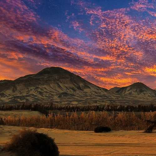 From Cairo: 2-Day Bahariya Oasis & Camping Tour - Stamps Tours