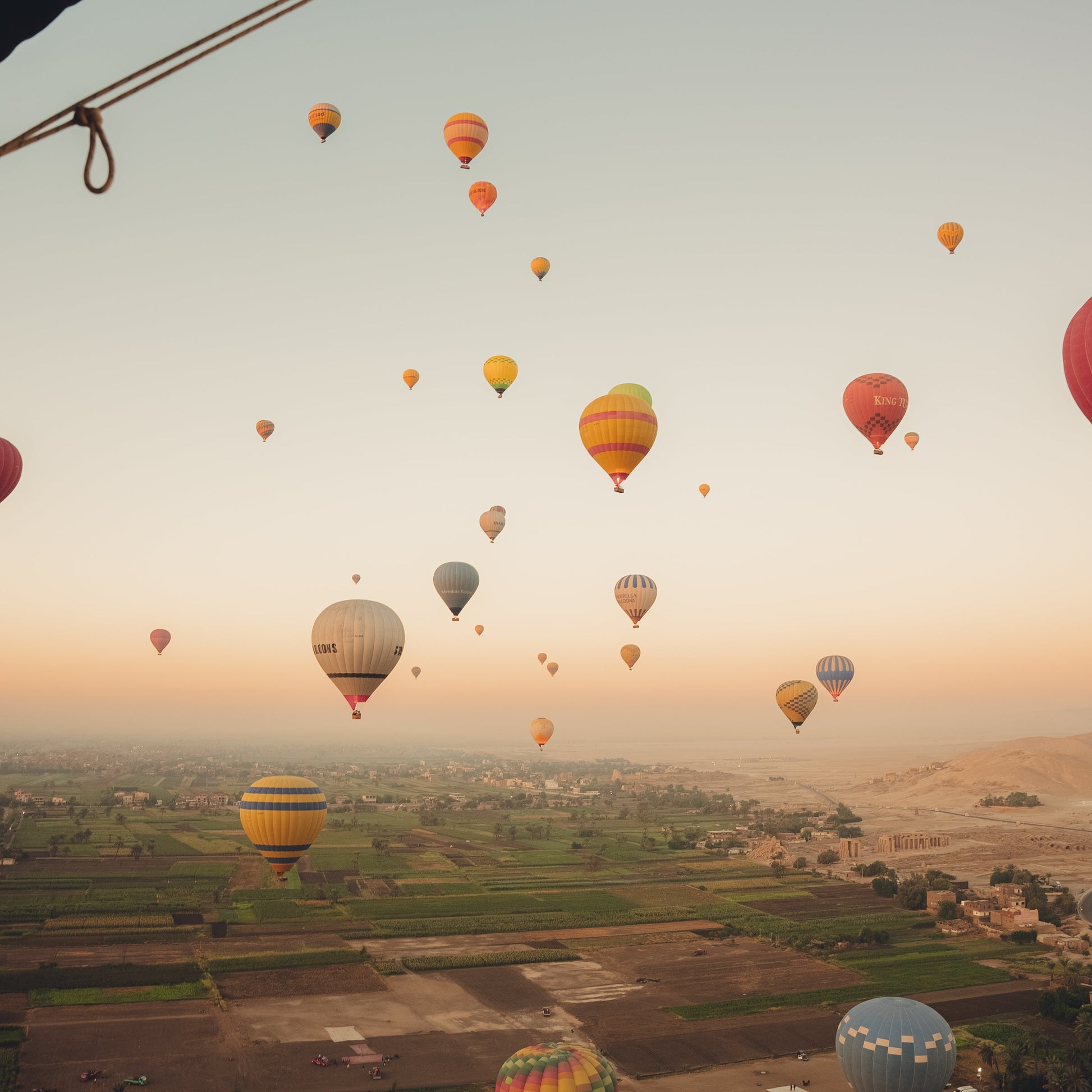MS Tulip Nile Cruise: 4 Days/3 Nights from Aswan - Stamps Tours
