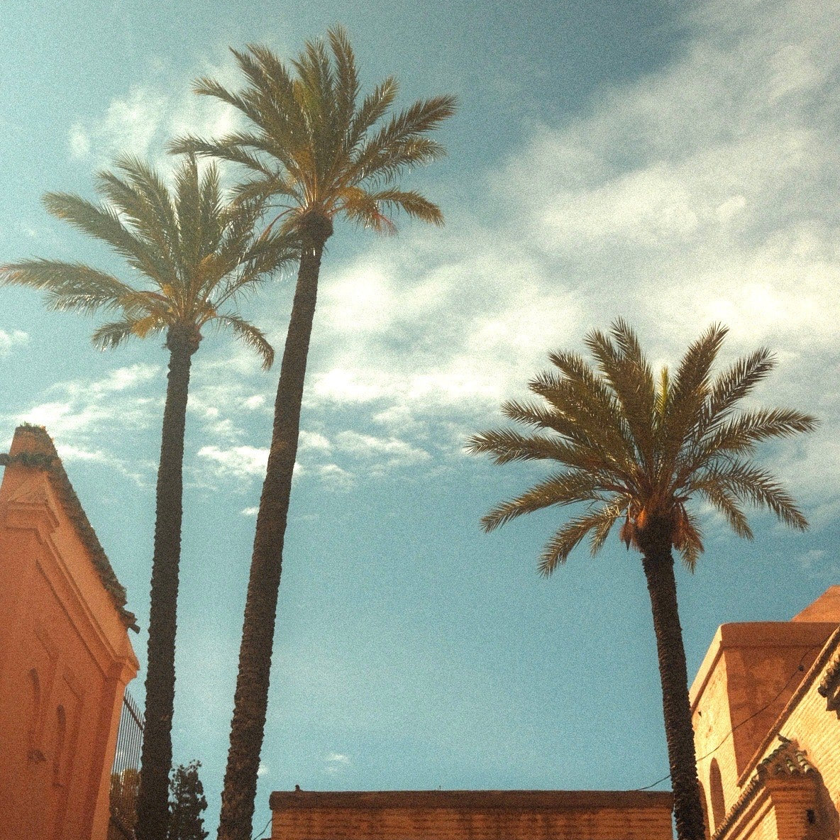 4-Day Marrakech Tour - Stamps Tours