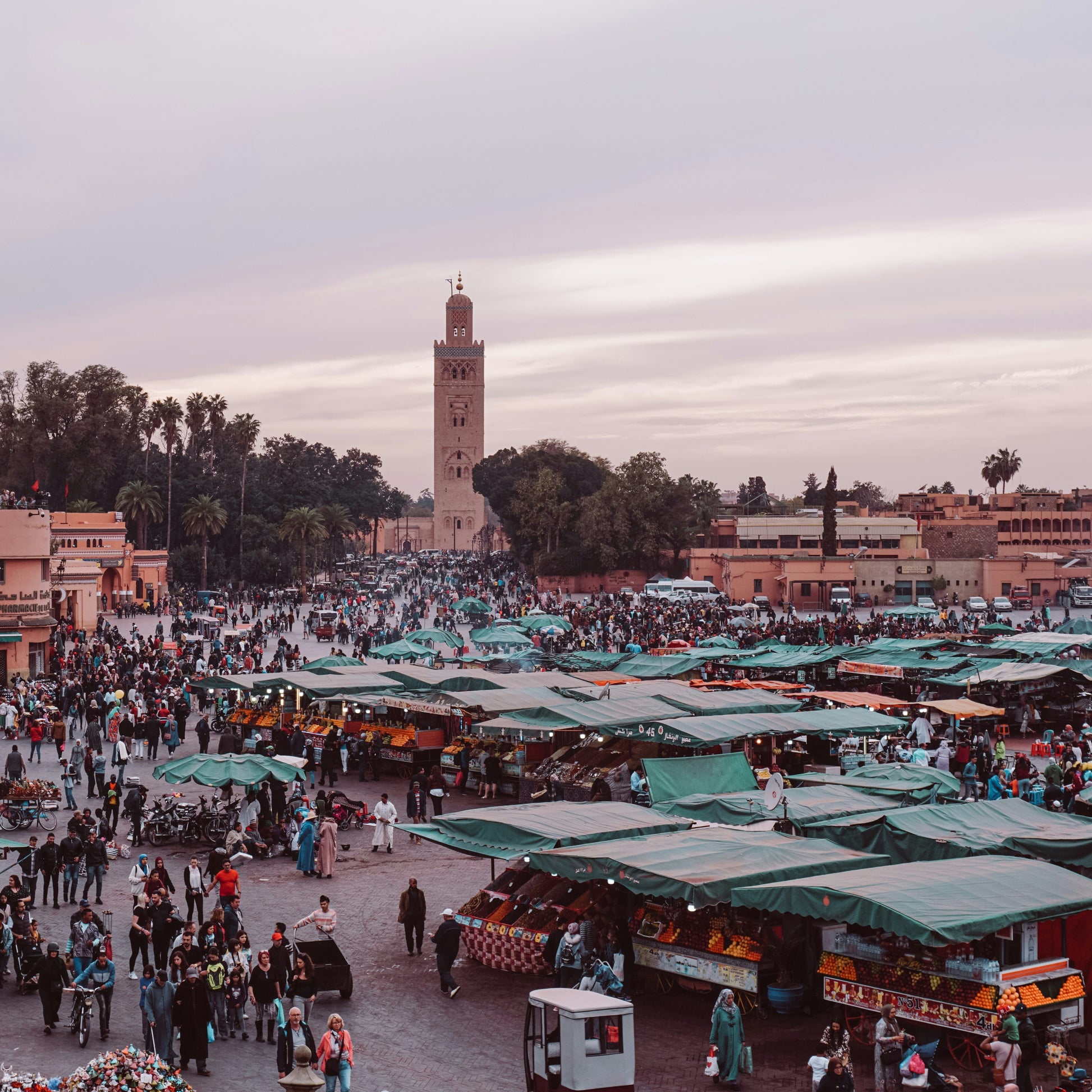 Marrakesh Day Trip - Stamps Tours
