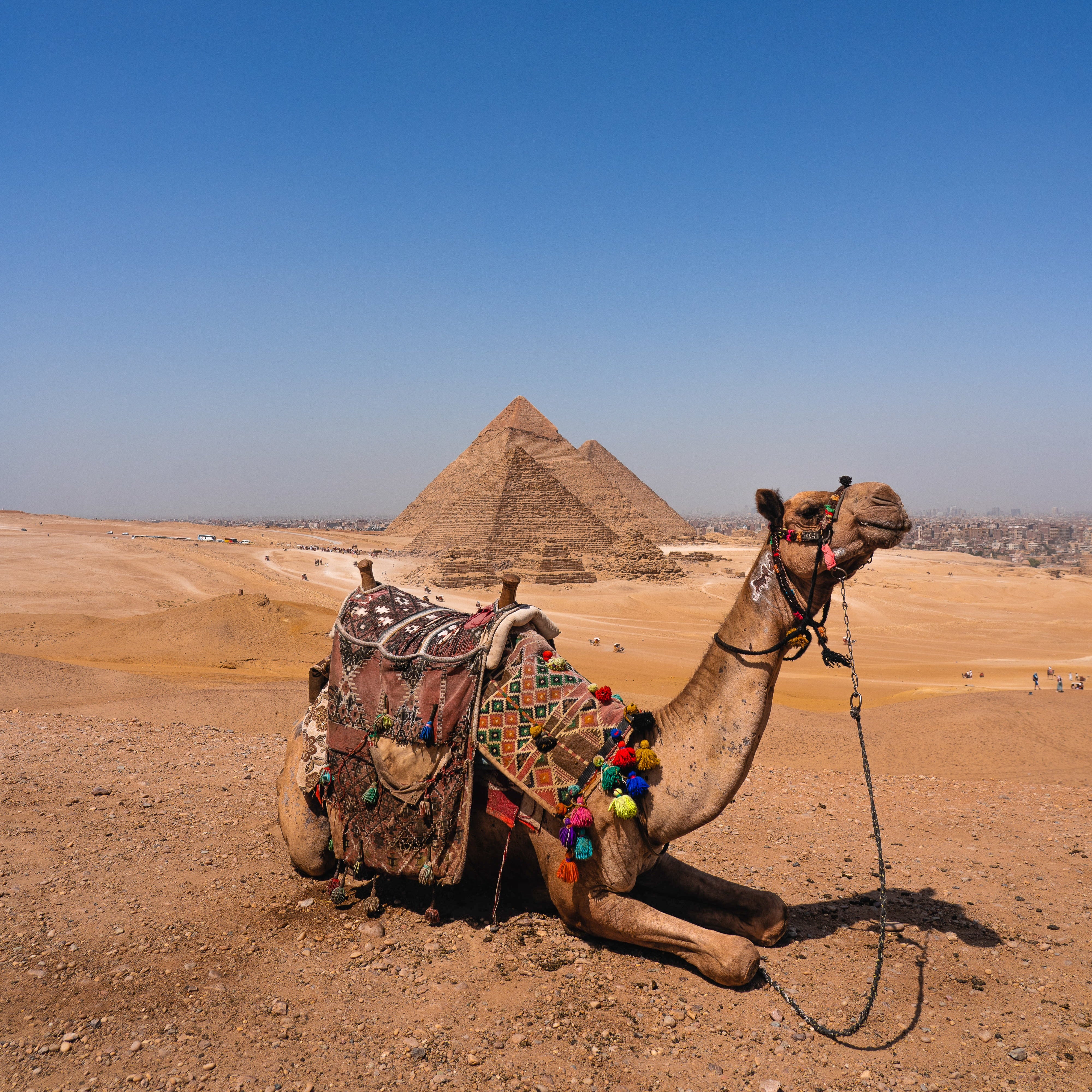 Echoes of Cairo: 4 Days/ 3 Nights Private Tour - Stamps Tours