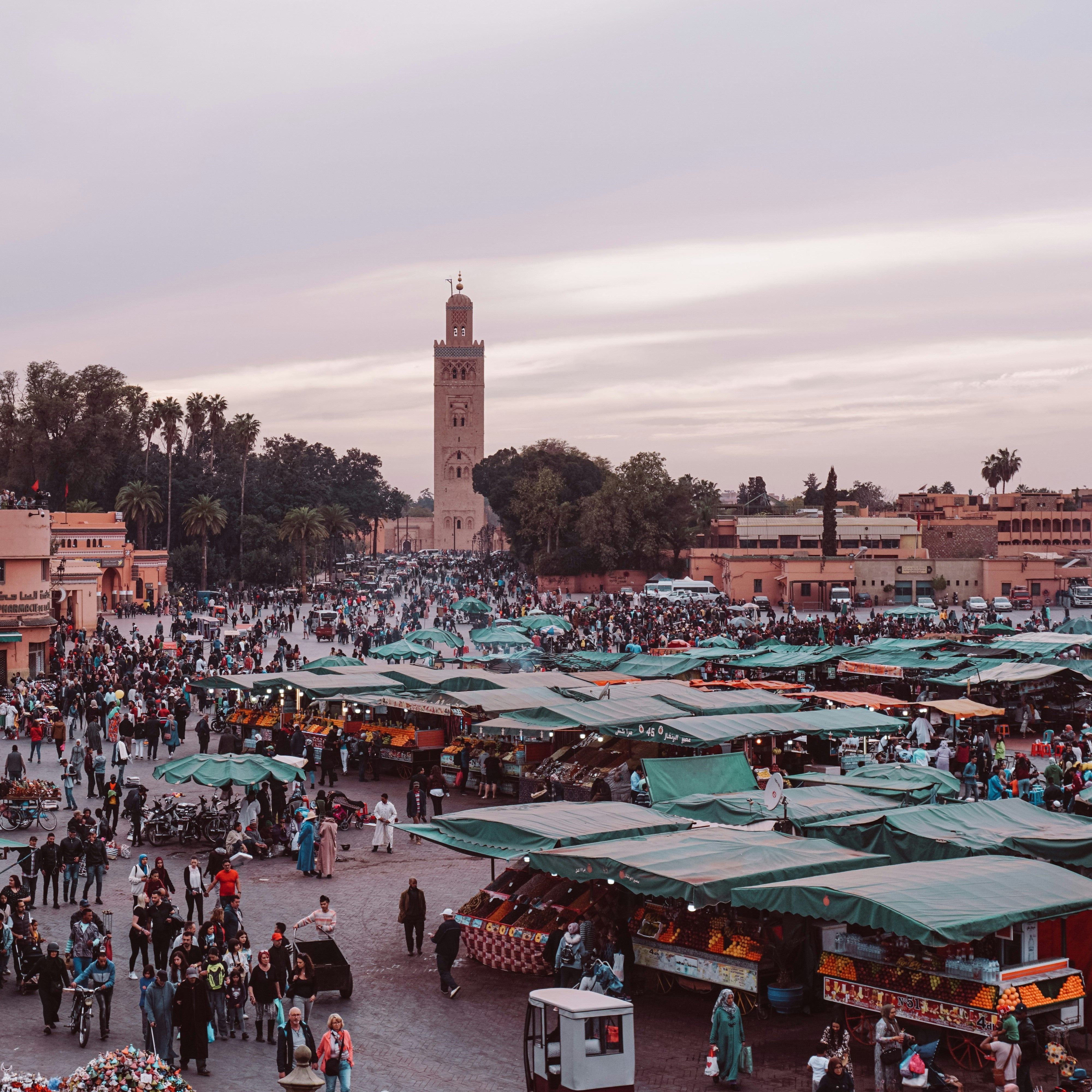 Marrakesh Day Trip