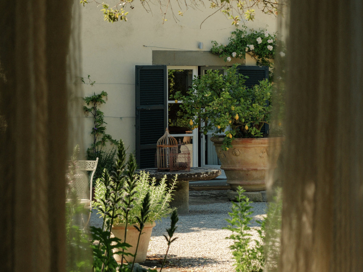 Courtyard Junior Suite / Courtyard Suite