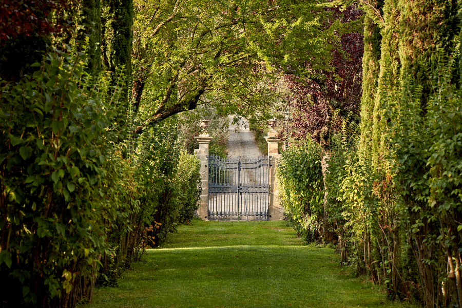 The garden gate