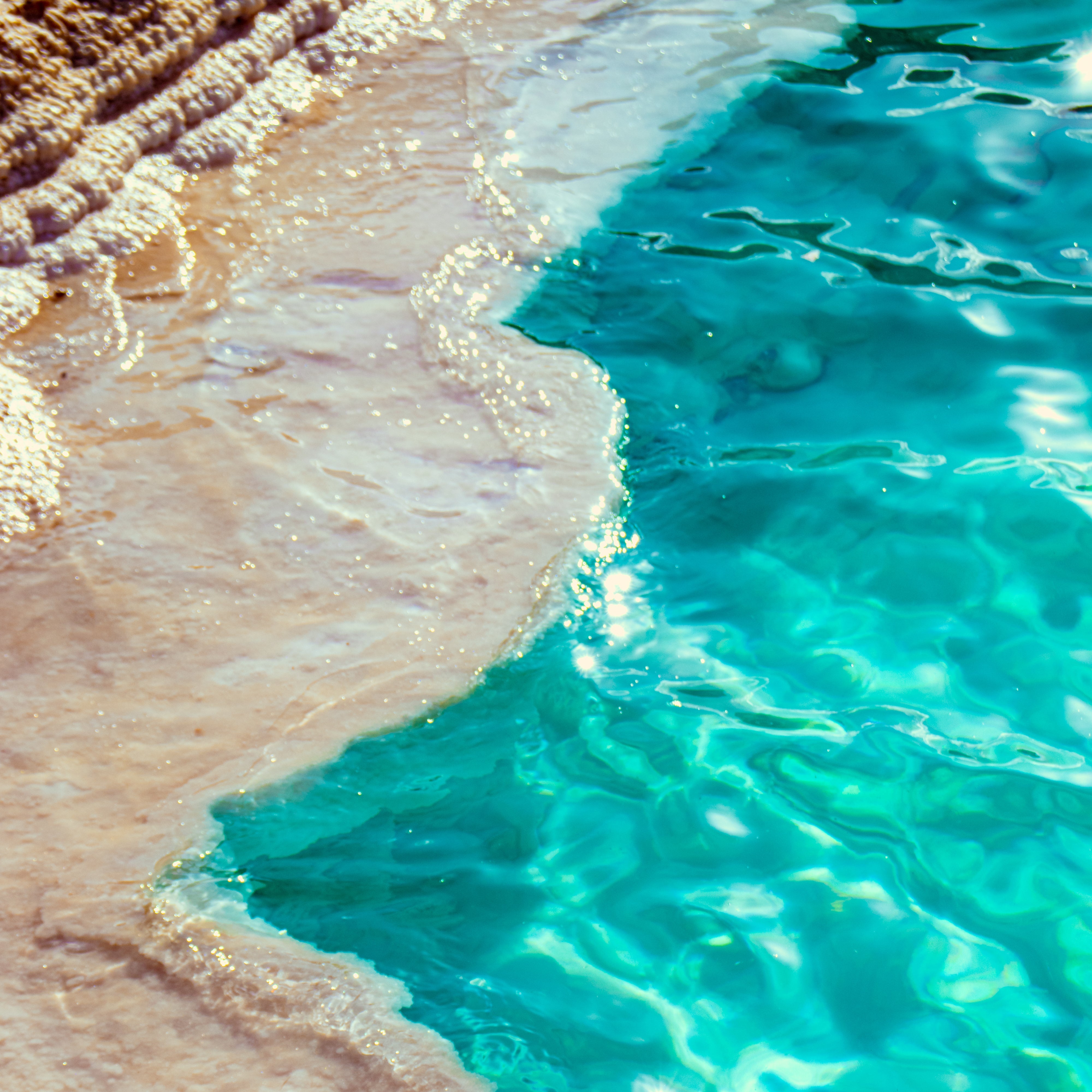 Oasis & Coast